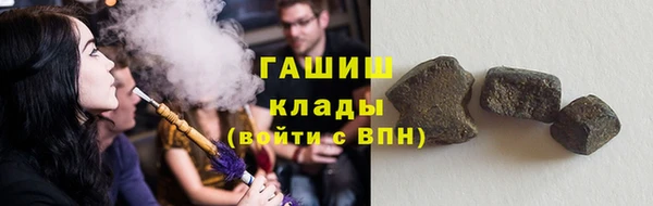 прущие грибы Краснослободск