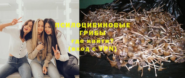 не бодяженный Алзамай