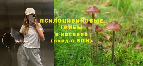 стаф Алексин