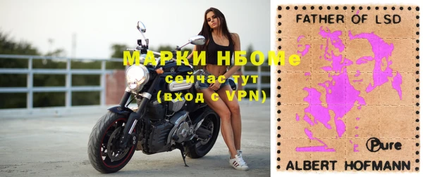 стаф Алексин