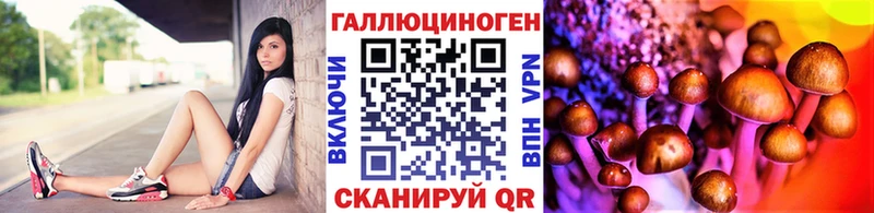 Псилоцибиновые грибы Psilocybe Алупка